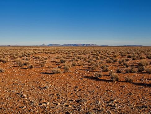 A Découvrir en Namibie - Le Bushmanland