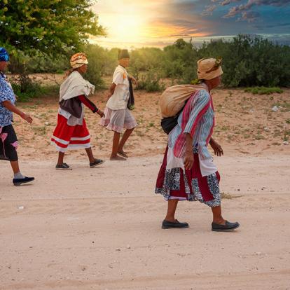 A Découvrir en Namibie - Le Bushmanland