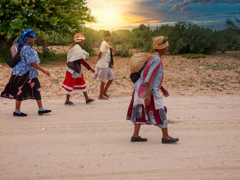 A Découvrir en Namibie - Le Bushmanland