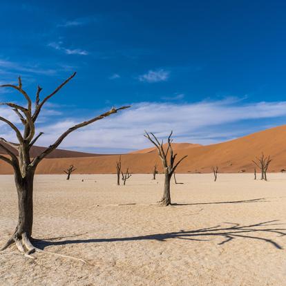 A Découvrir en Namibie - Deadvlei