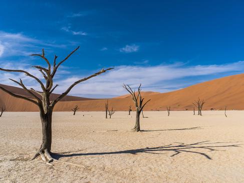 Deadvlei A Découvrir en Namibie - Deadvlei
