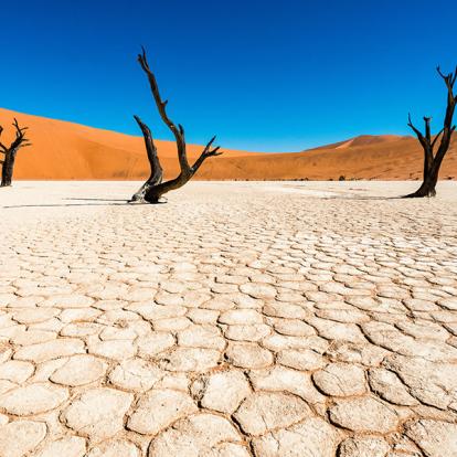 A Découvrir en Namibie - Deadvlei