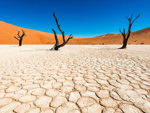 Deadvlei A Découvrir en Namibie - Deadvlei