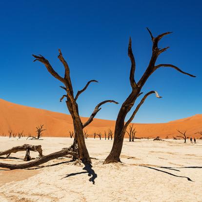 A Découvrir en Namibie - Deadvlei