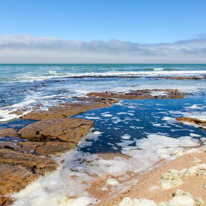 A Découvrir en Namibie - Cape Cross