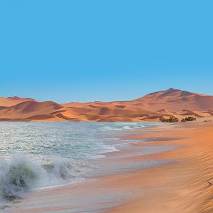 Le Désert Du Namib Et L'océan Atlantique Se Rencontrent Près De La Skeleton Coast A Découvrir en Namibie - Le Désert du Namib