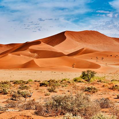 Désert Du Namib A Découvrir en Namibie - Le Désert du Namib