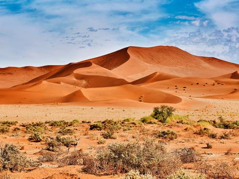Désert Du Namib A Découvrir en Namibie - Le Désert du Namib