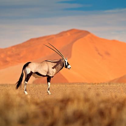 A Découvrir en Namibie - Les Dunes de Sossusvlei