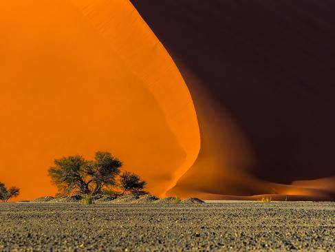 A Découvrir en Namibie - Les Dunes de Sossusvlei