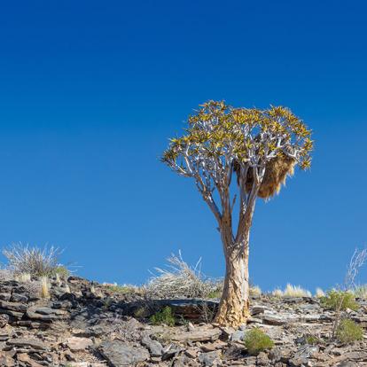 A Découvrir en Namibie - Le Fish River Canyon