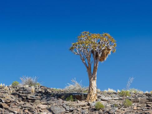 A Découvrir en Namibie - Le Fish River Canyon