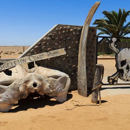Skeleton Coast A Découvrir en Namibie - La Côte des Squelettes