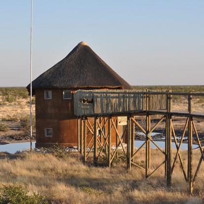 A Découvrir en Namibie - Parc National d'Etosha