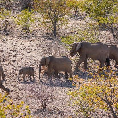 A Découvrir en Namibie - Les Roches rouges du Damaraland