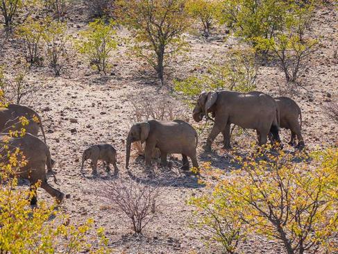 A Découvrir en Namibie - Les Roches rouges du Damaraland