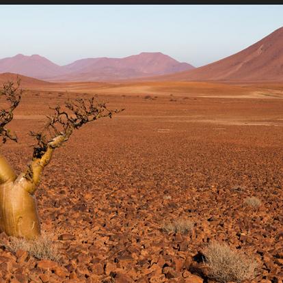 A Découvrir en Namibie - Les Roches rouges du Damaraland
