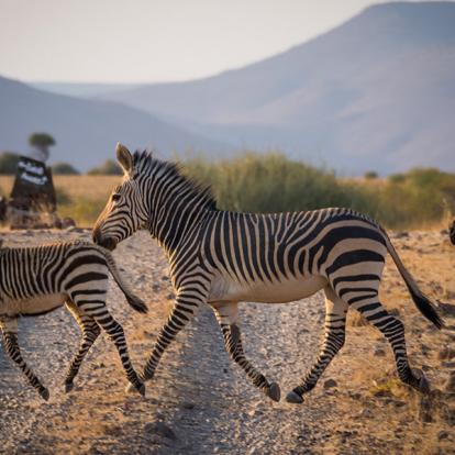 A Découvrir en Namibie - Les Roches rouges du Damaraland