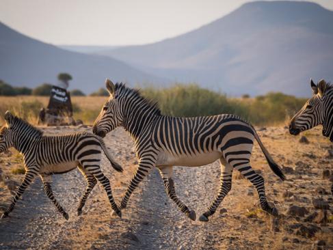 A Découvrir en Namibie - Les Roches rouges du Damaraland