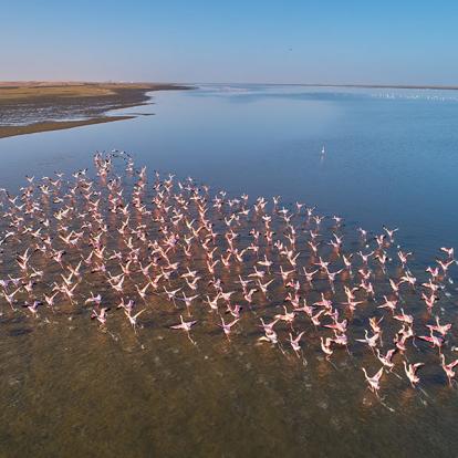 A Découvrir en Namibie - Walvis Bay