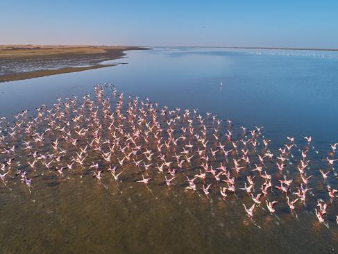 Walvis Bay A Découvrir en Namibie - Walvis Bay