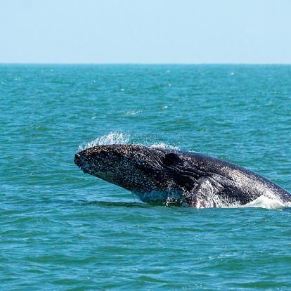 A Découvrir en Namibie - Walvis Bay
