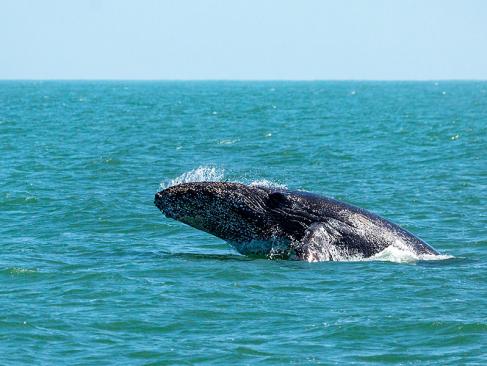 Walvis Bay A Découvrir en Namibie - Walvis Bay