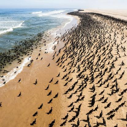 Walvis Bay A Découvrir en Namibie - Walvis Bay