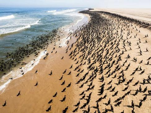 Walvis Bay A Découvrir en Namibie - Walvis Bay
