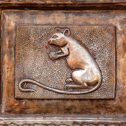 A Découvrir en Inde - Le Temple de Karni Mata (Temple des Rats)