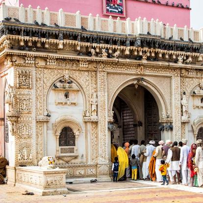 A Découvrir en Inde - Le Temple de Karni Mata (Temple des Rats)