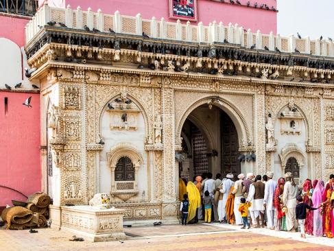 A Découvrir en Inde - Le Temple de Karni Mata (Temple des Rats)
