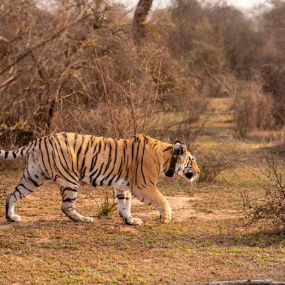 A Découvrir en Inde - Alwar