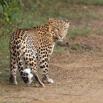 A Découvrir en Inde - Alwar