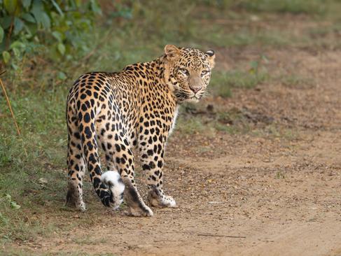 A Découvrir en Inde - Alwar