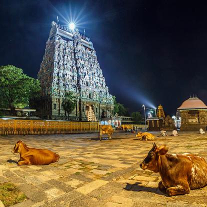 Tamil Nadu - Chidambaram, Temple A Découvrir en Inde - Chidambaram