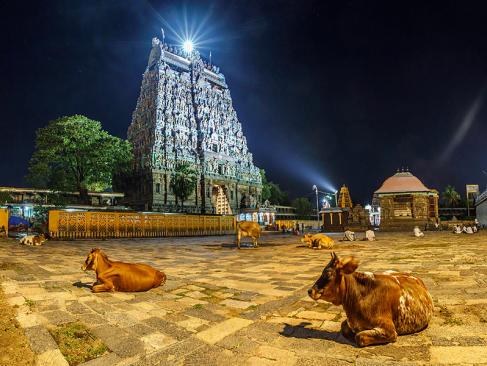 Tamil Nadu - Chidambaram, Temple A Découvrir en Inde - Chidambaram