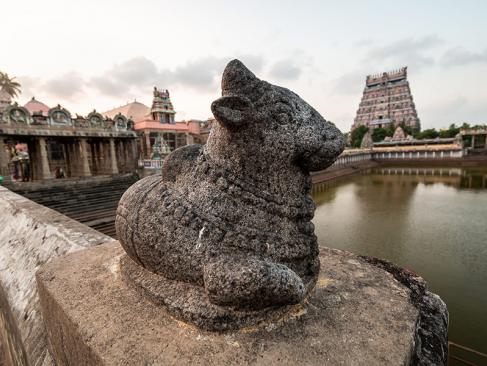 Chidambaram - Temple A Découvrir en Inde - Chidambaram