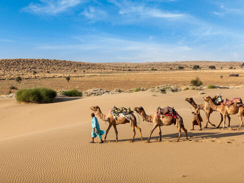 A Découvrir en Inde - Le Désert du Thar