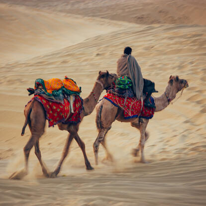 A Découvrir en Inde - Le Désert du Thar