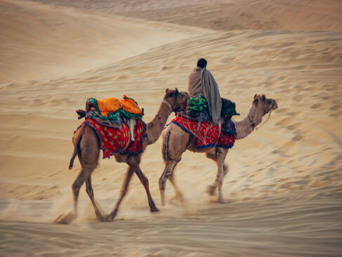A Découvrir en Inde - Le Désert du Thar