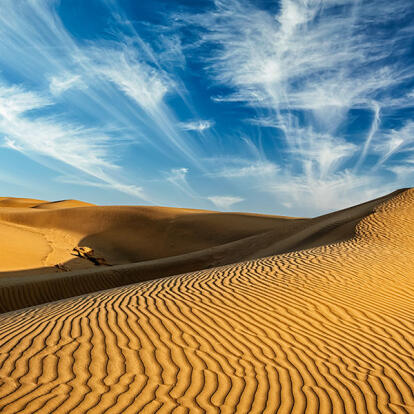 A Découvrir en Inde - Le Désert du Thar