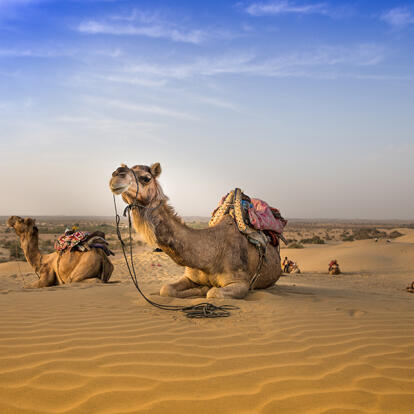 A Découvrir en Inde - Le Désert du Thar