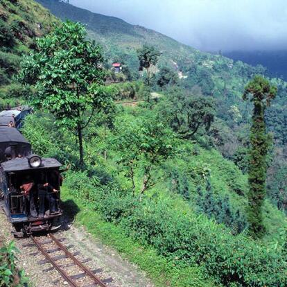 A Découvrir en Inde - Darjeeling