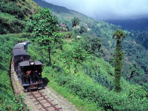Darjeeling A Découvrir en Inde - Darjeeling