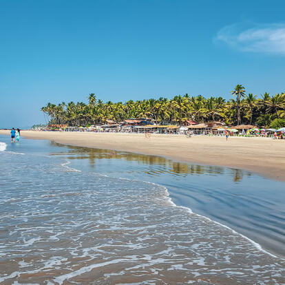 A Découvrir en Inde - Goa