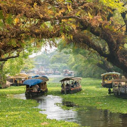 A Découvrir en Inde - Les Backwaters du Kerala
