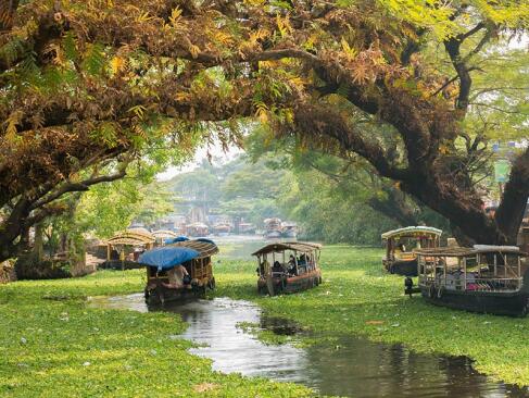 A Découvrir en Inde - Les Backwaters du Kerala