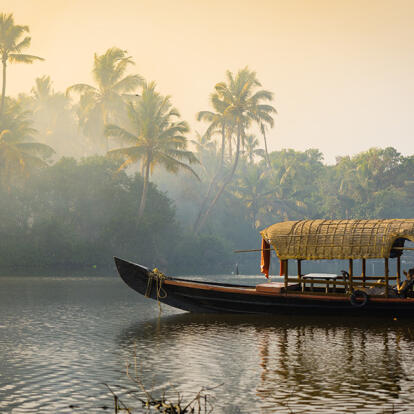 A Découvrir en Inde - Les Backwaters du Kerala