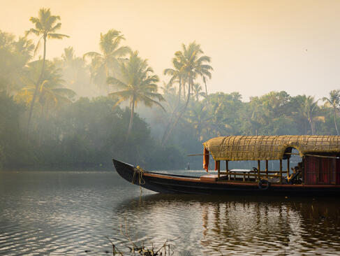 A Découvrir en Inde - Les Backwaters du Kerala